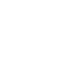 Sky Plus DnB